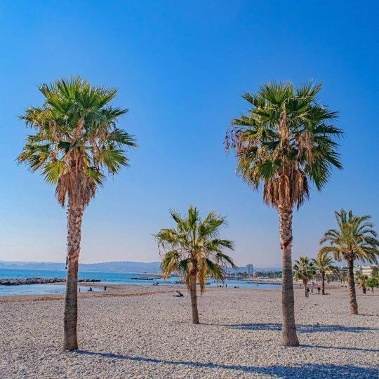 Appartamento Californie Mer 50 Mètres *